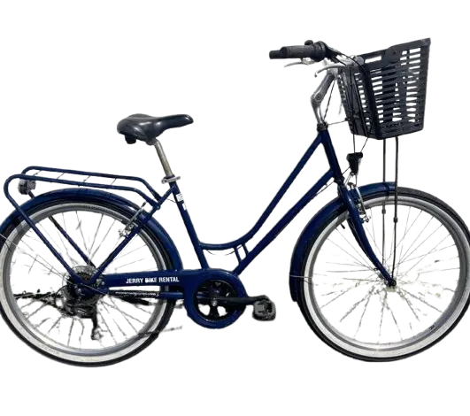 VELO TOUT CHEMIN ARCADE
