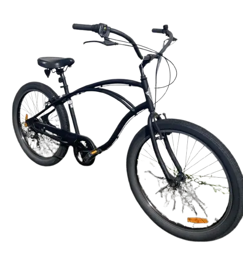 BEACH BIKE ELECTRA